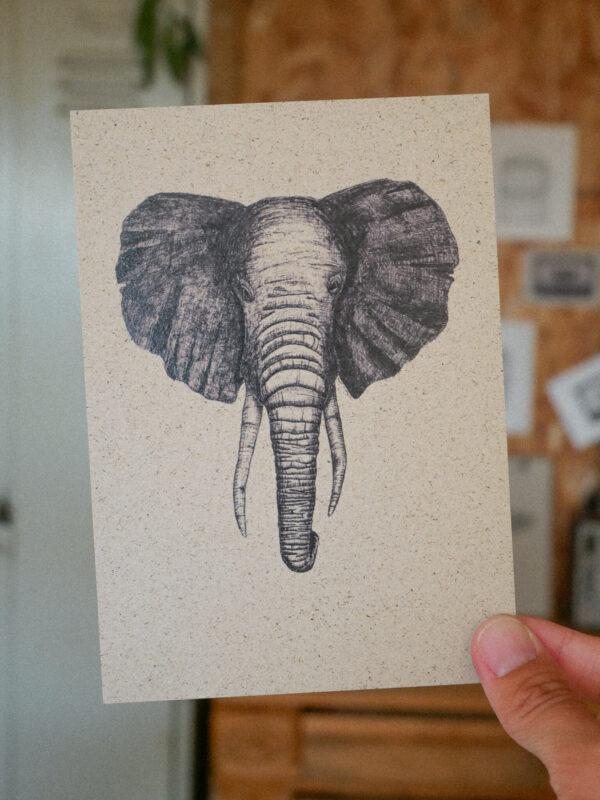 Karte Elefant