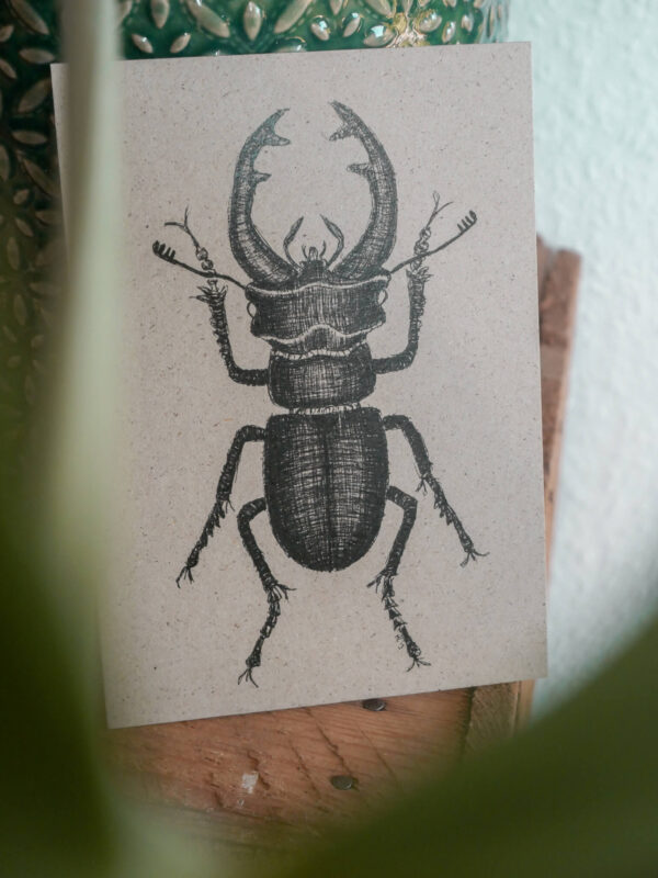 Karte Hirschkäfer