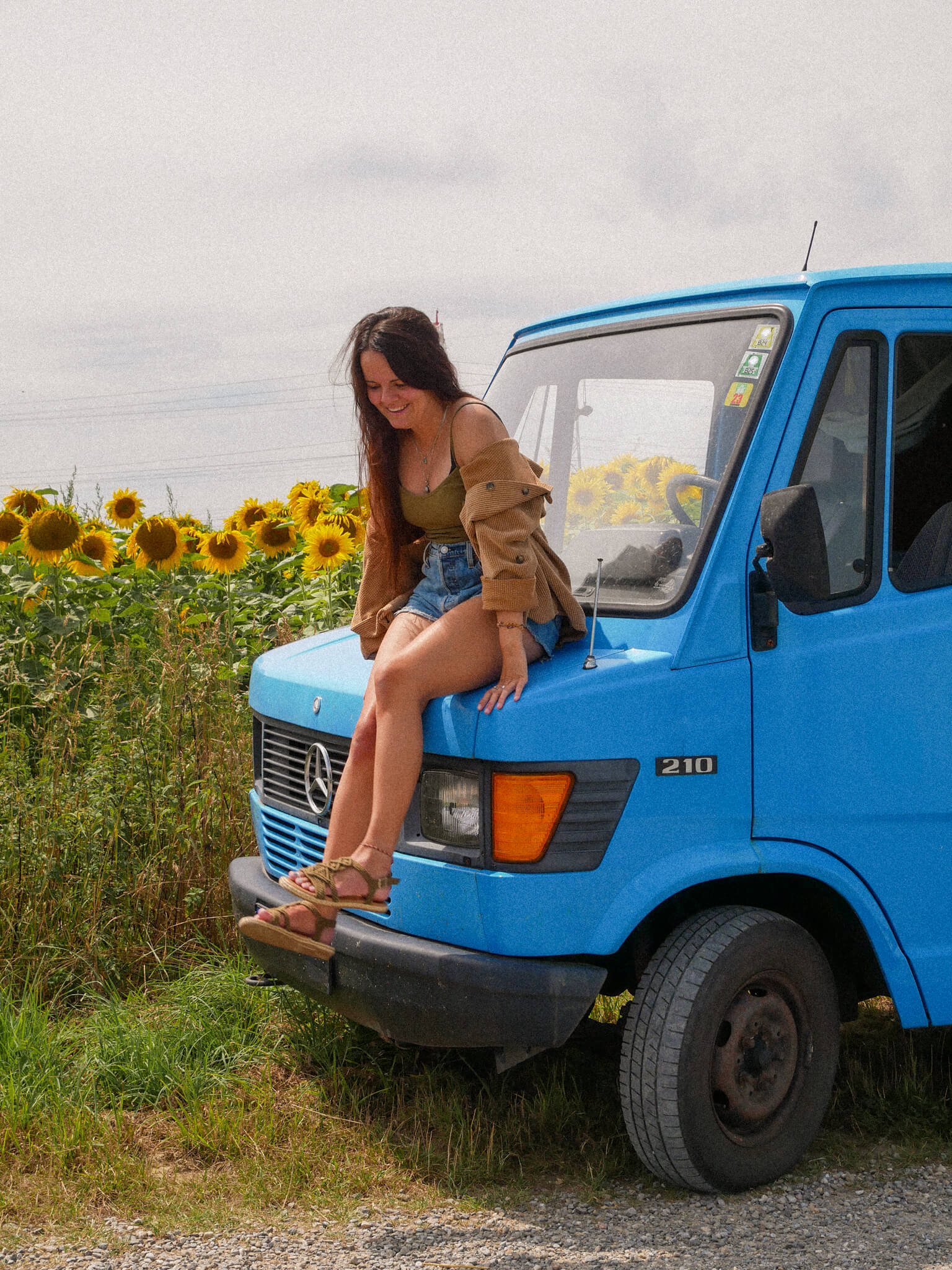 Schau aufs Land: Naturnahes Camping und regionale Produkte